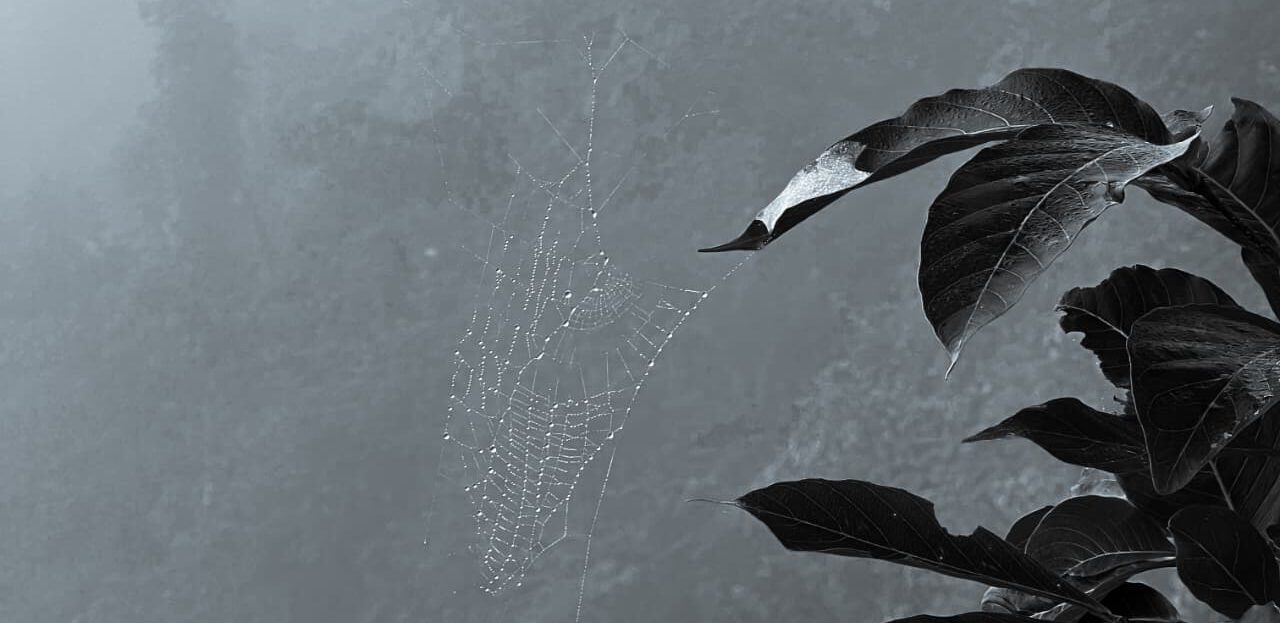 কক্সবাজারে কখনো শৈত্যপ্রবাহ হয়নি কেনো?